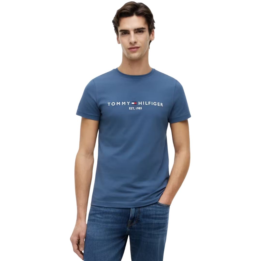 Tommy Hilfiger Logo T-Shirt – Blue