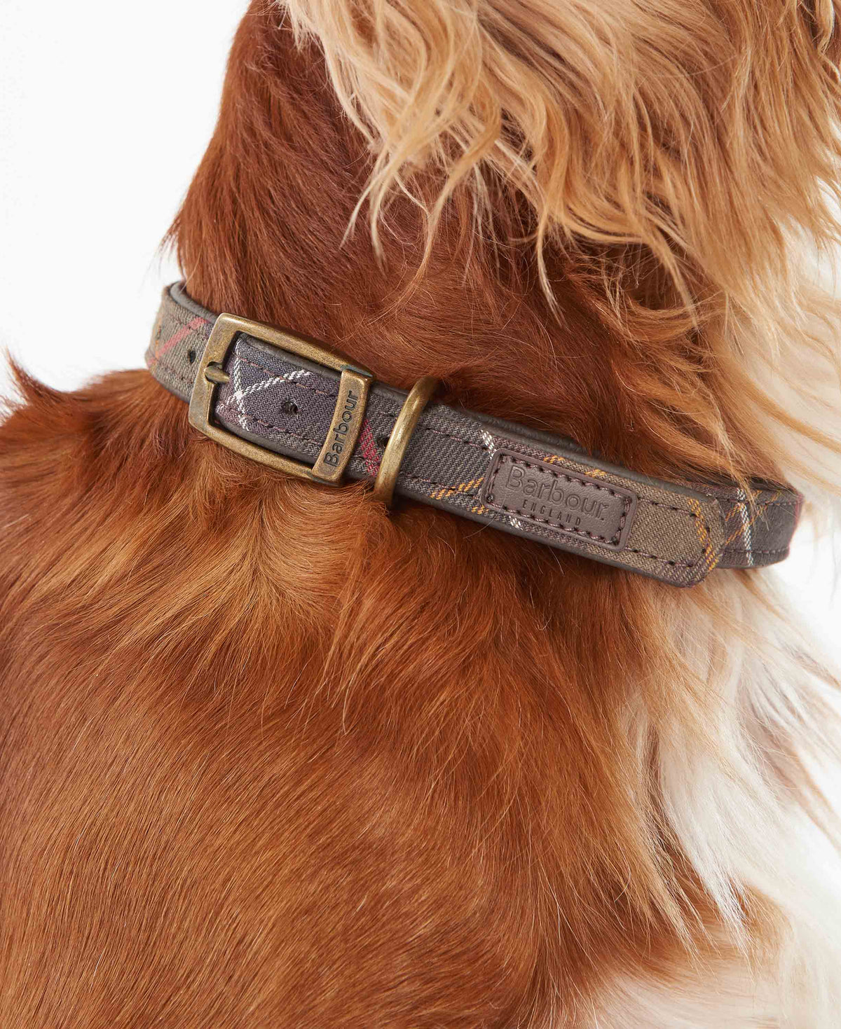 Barbour Tartan Dog Collar - Tartan