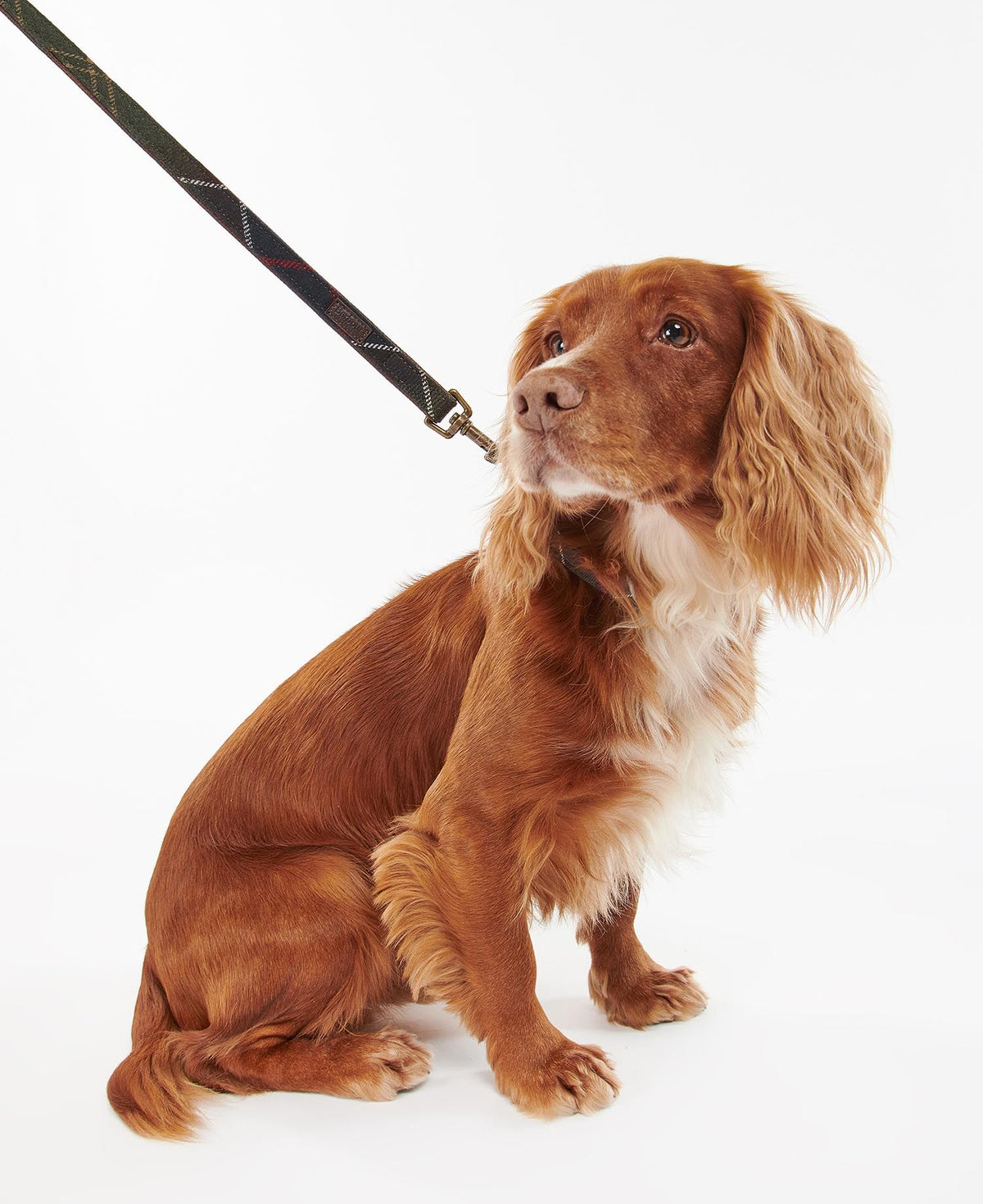 Barbour Tartan Dog Lead - Tartan