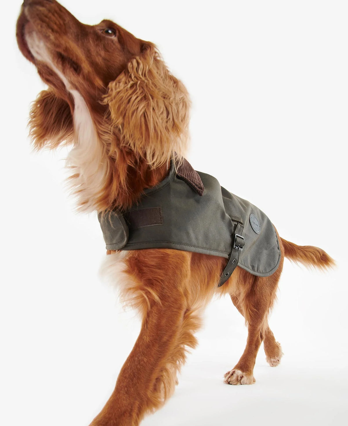 Barbour Dog Wax Coat - Olive Green