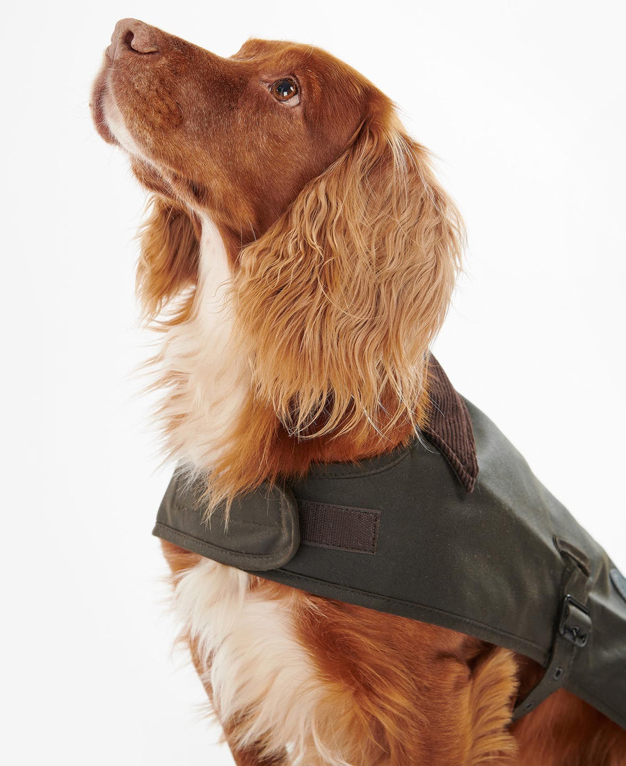Barbour Dog Wax Coat - Olive Green