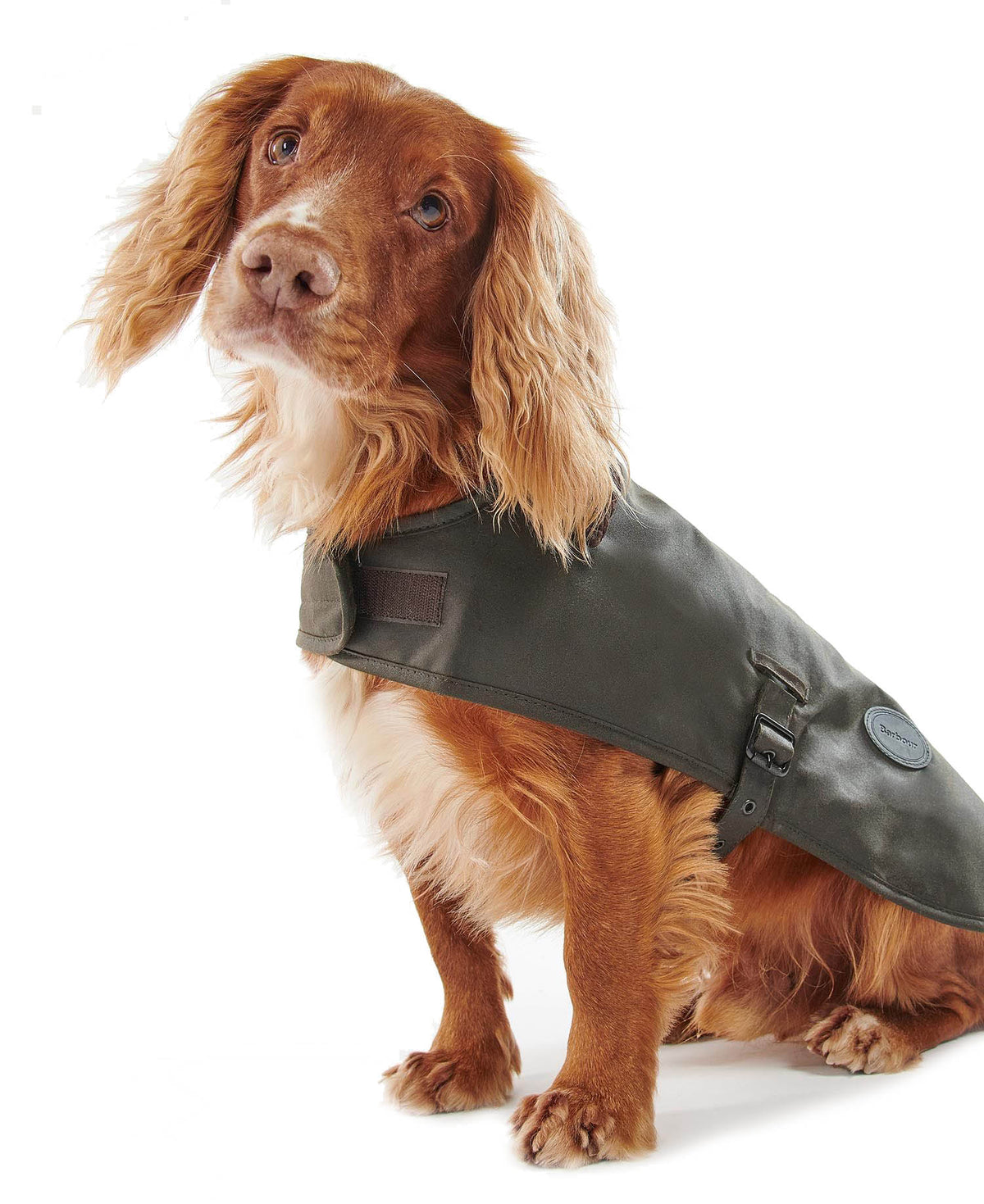 Barbour Dog Wax Coat - Olive Green