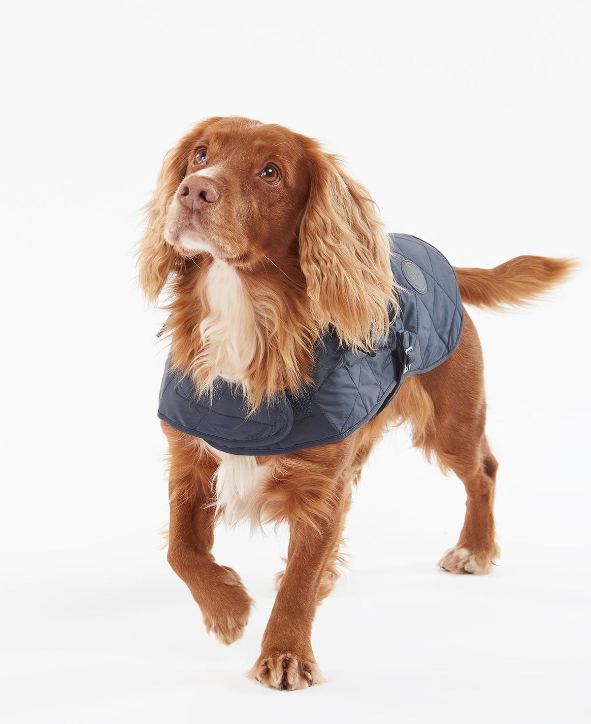 Barbour Quilted Dog Coat - Navy