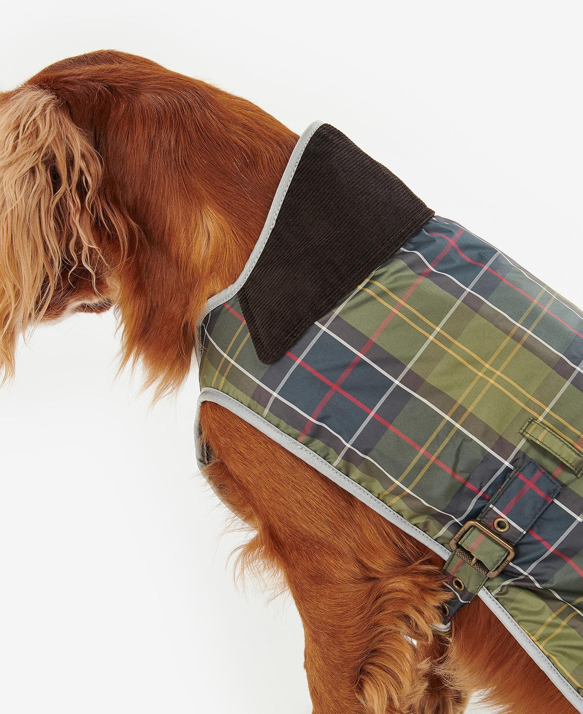 Barbour Waterproof Tartan Dog Coat - Tartan