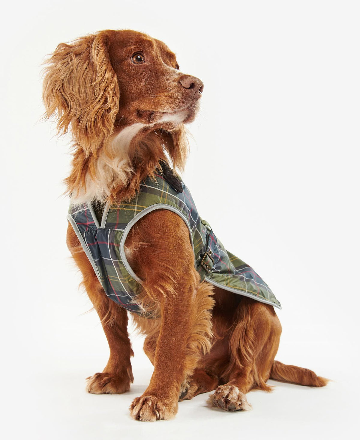 Barbour Waterproof Tartan Dog Coat - Tartan