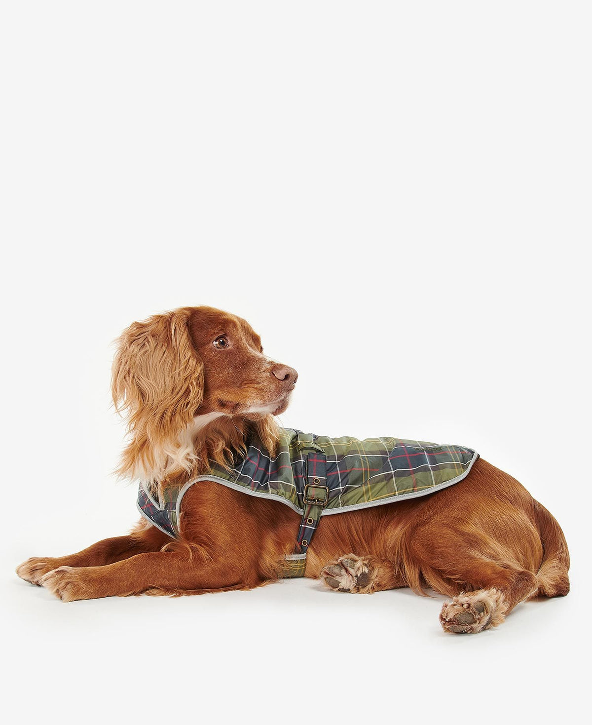 Barbour Waterproof Tartan Dog Coat - Tartan