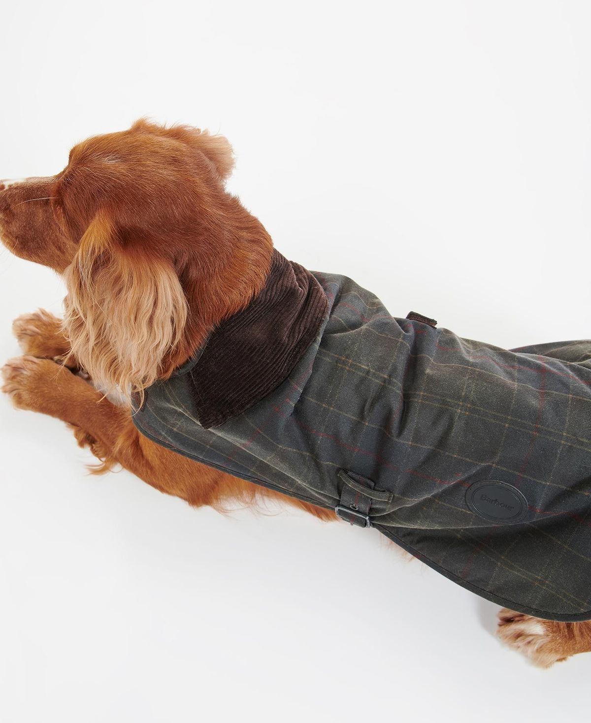 Barbour Tartan Wax Dog Coat - Tartan
