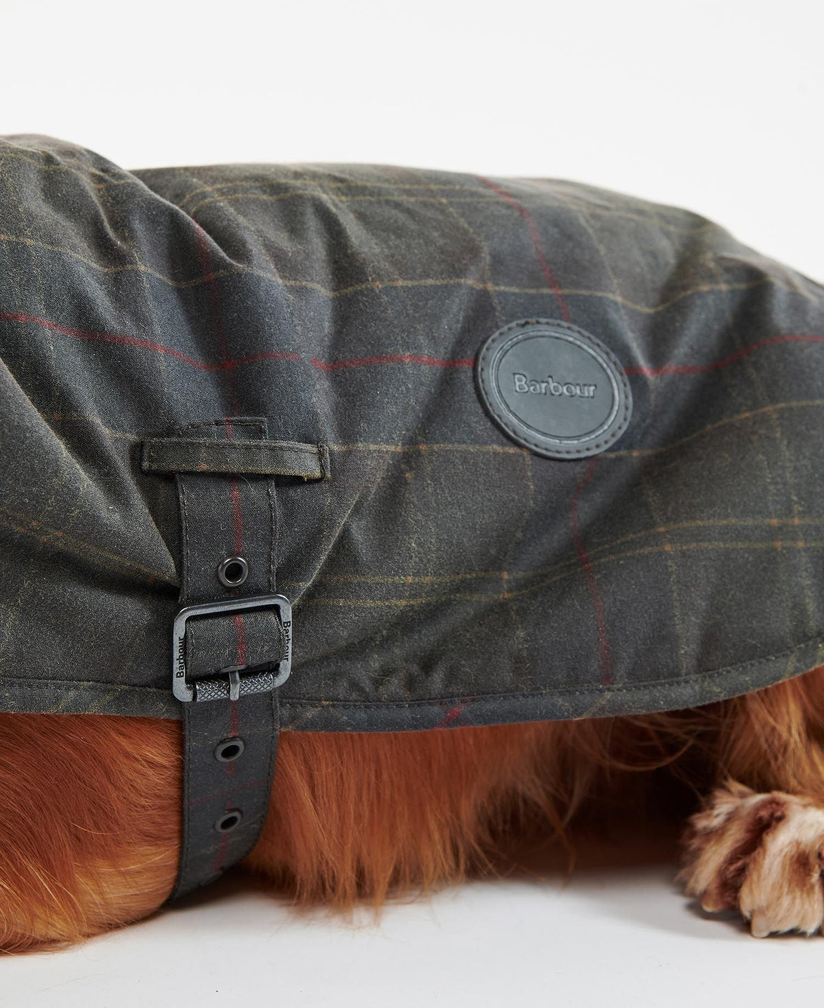 Barbour Tartan Wax Dog Coat - Tartan