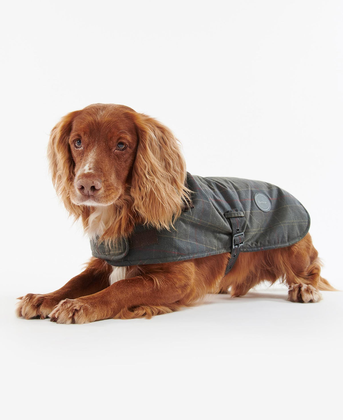 Barbour Tartan Wax Dog Coat - Tartan