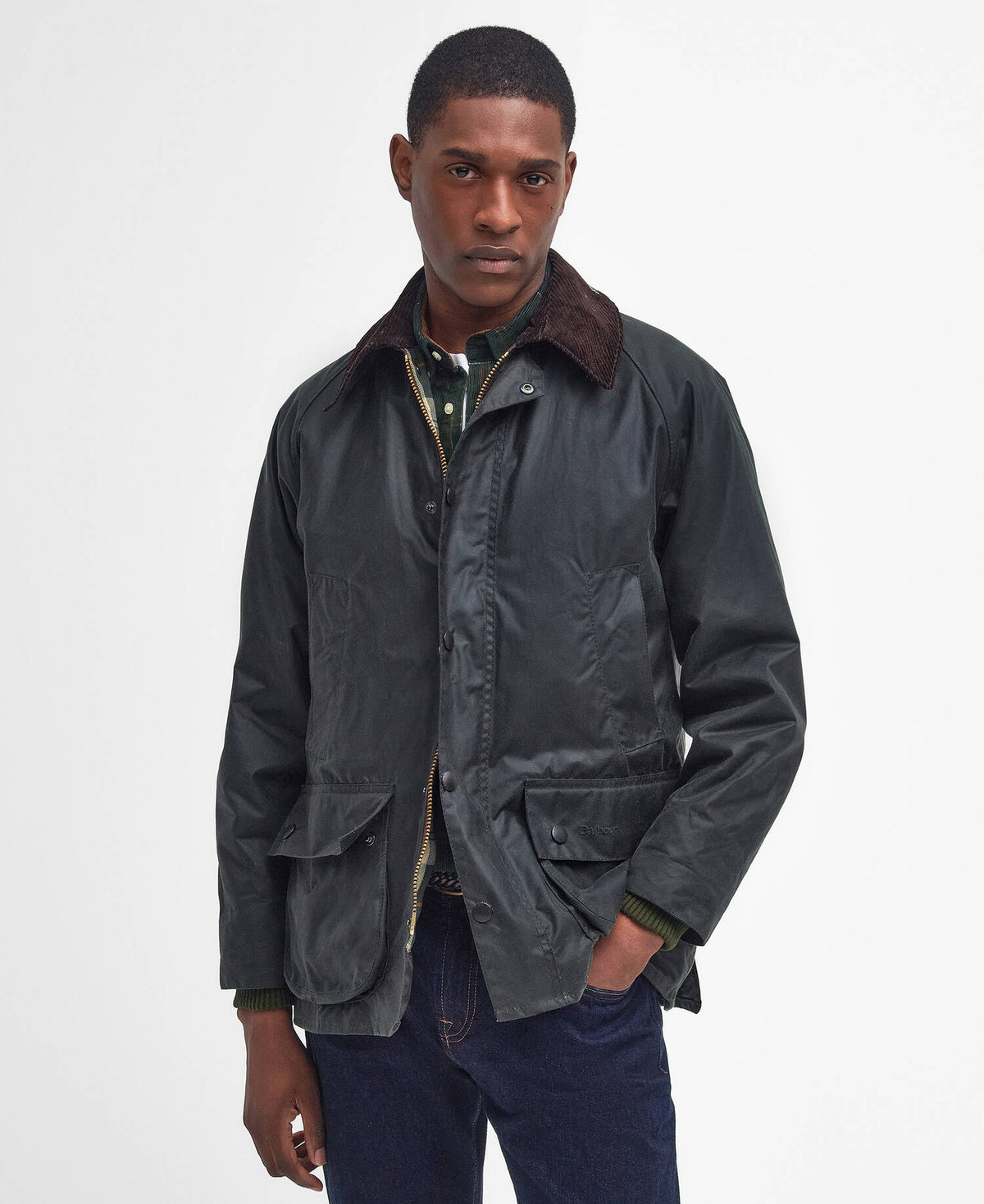 Barbour Winter Bedale Quilted Jacket - SAGE