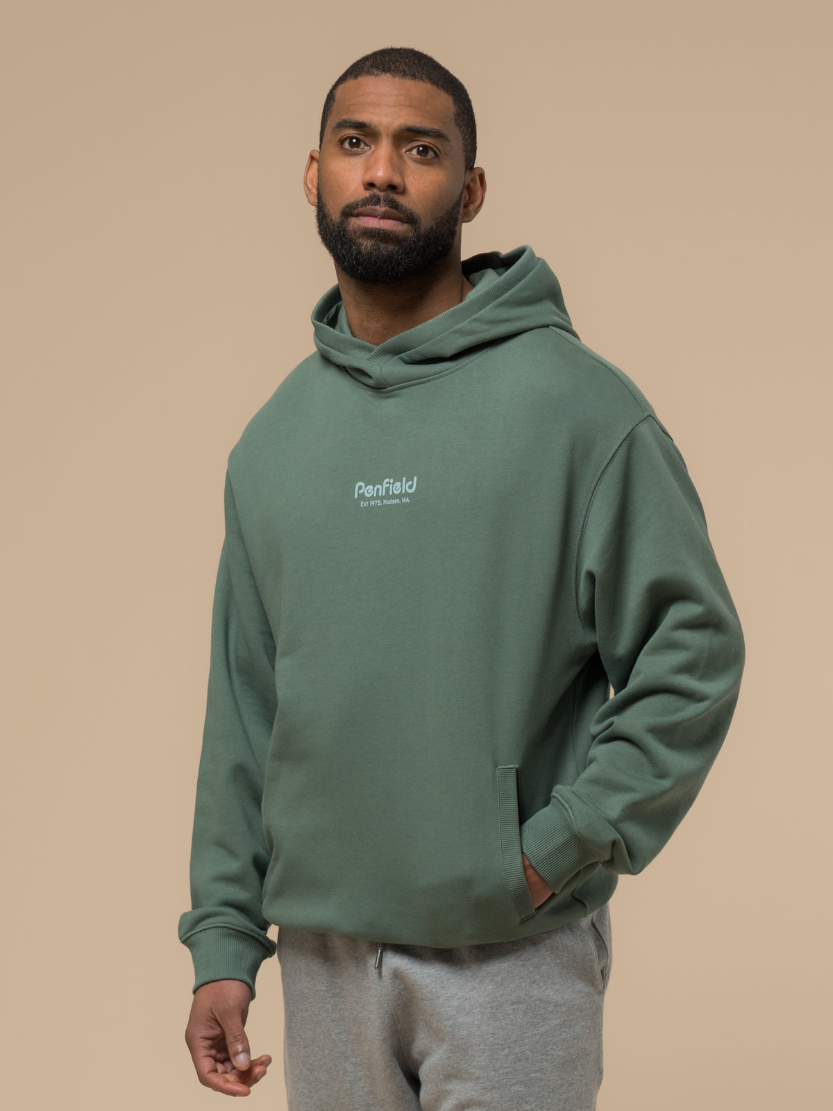 Penfield Circle Landscape Hoodie - Green
