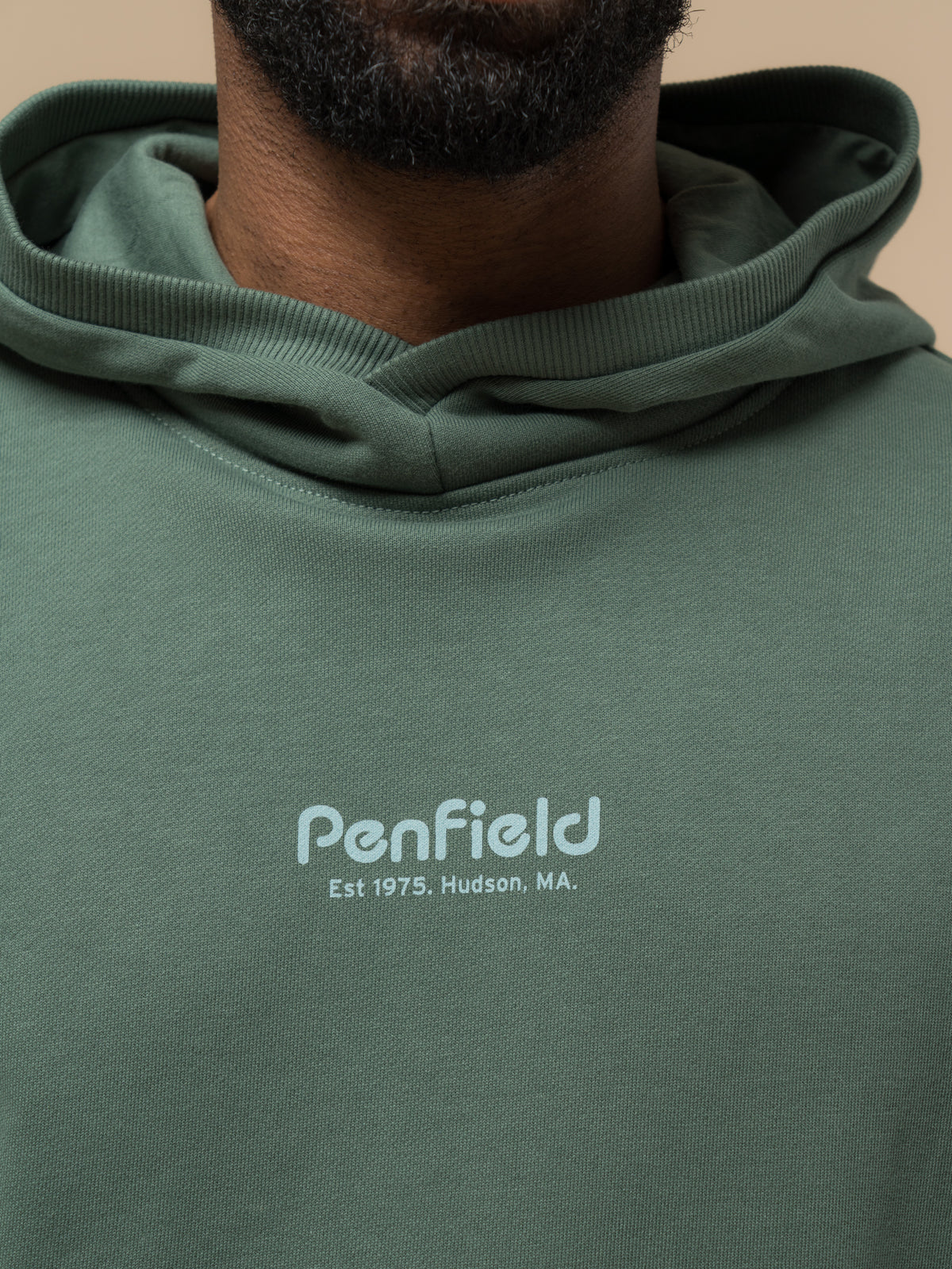 Penfield Circle Landscape Hoodie - Green