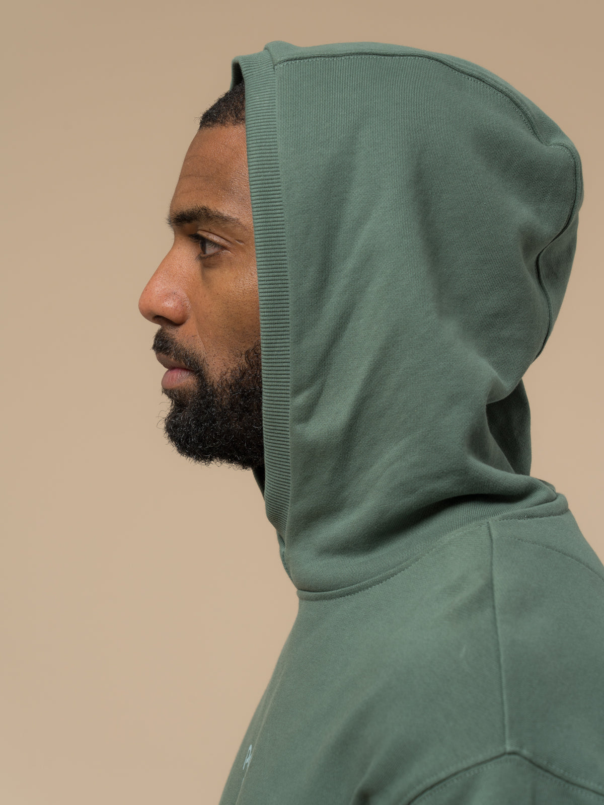 Penfield Circle Landscape Hoodie - Green