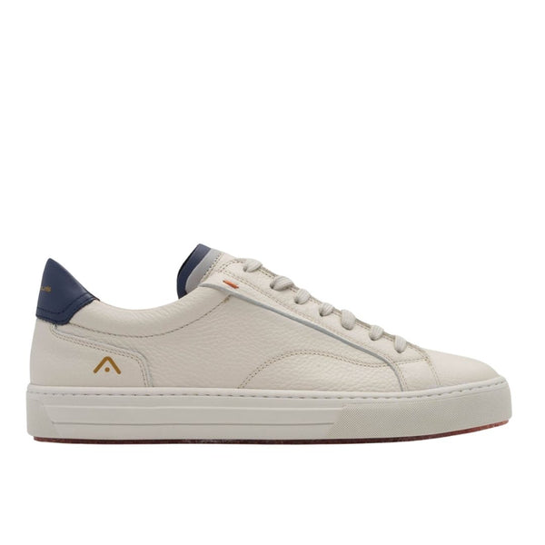 Ambitious Anopolis Lace-Up Sneaker - Beige