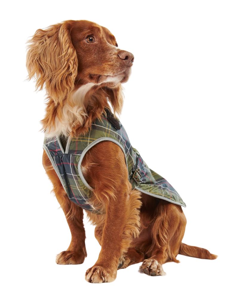 Barbour Waterproof Tartan Dog Coat - Tartan