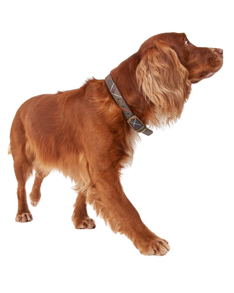 Barbour Tartan Dog Collar - Tartan