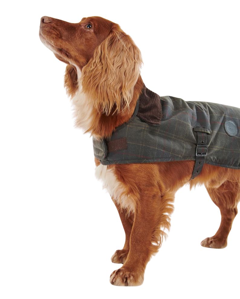 Barbour Tartan Wax Dog Coat - Tartan