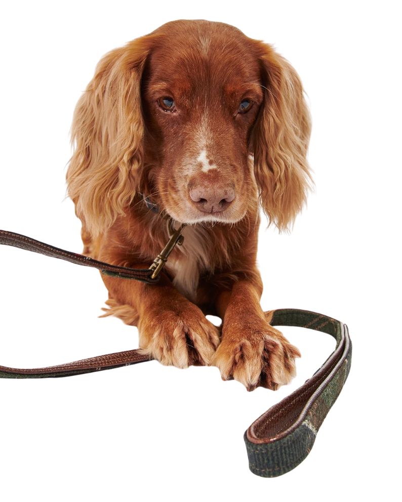 Barbour Tartan Dog Lead - Tartan