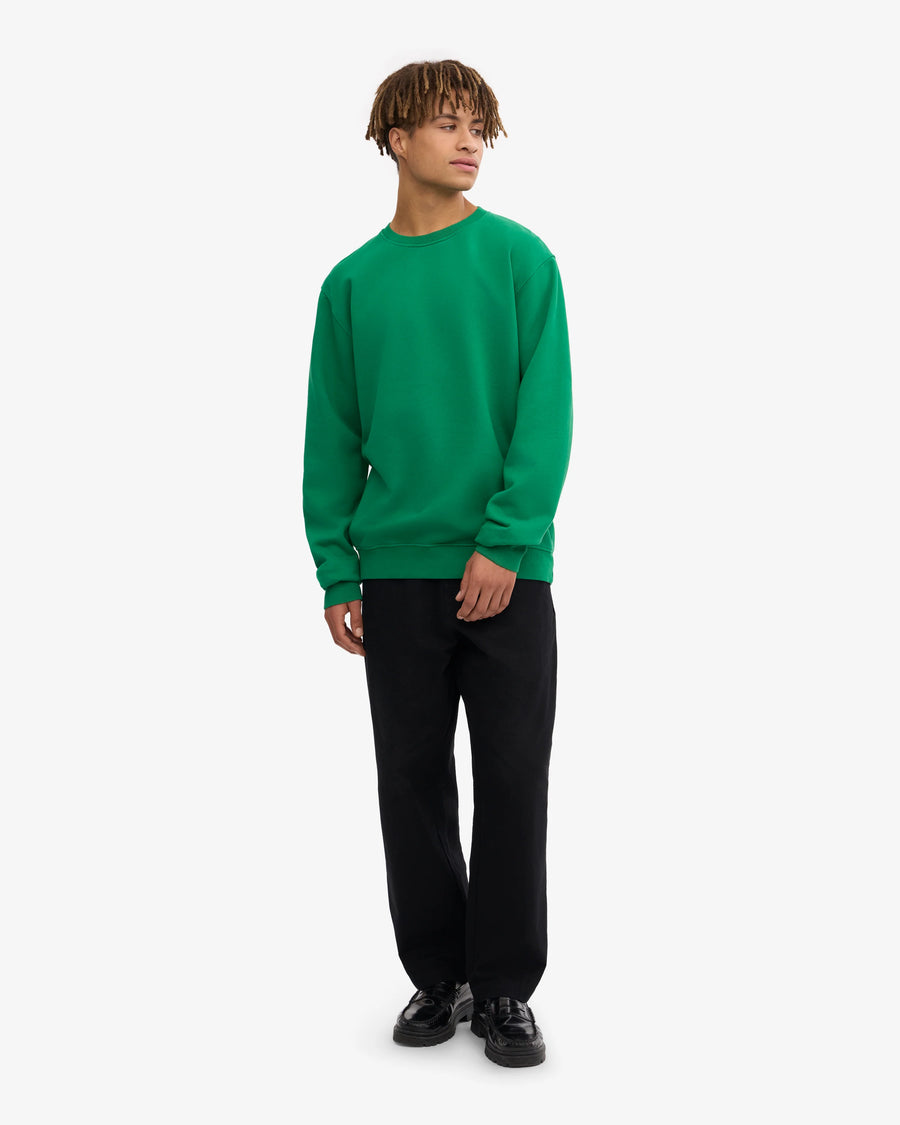 Colorful Standard Classic Organic Crewneck Sweatshirt - Kelly Green