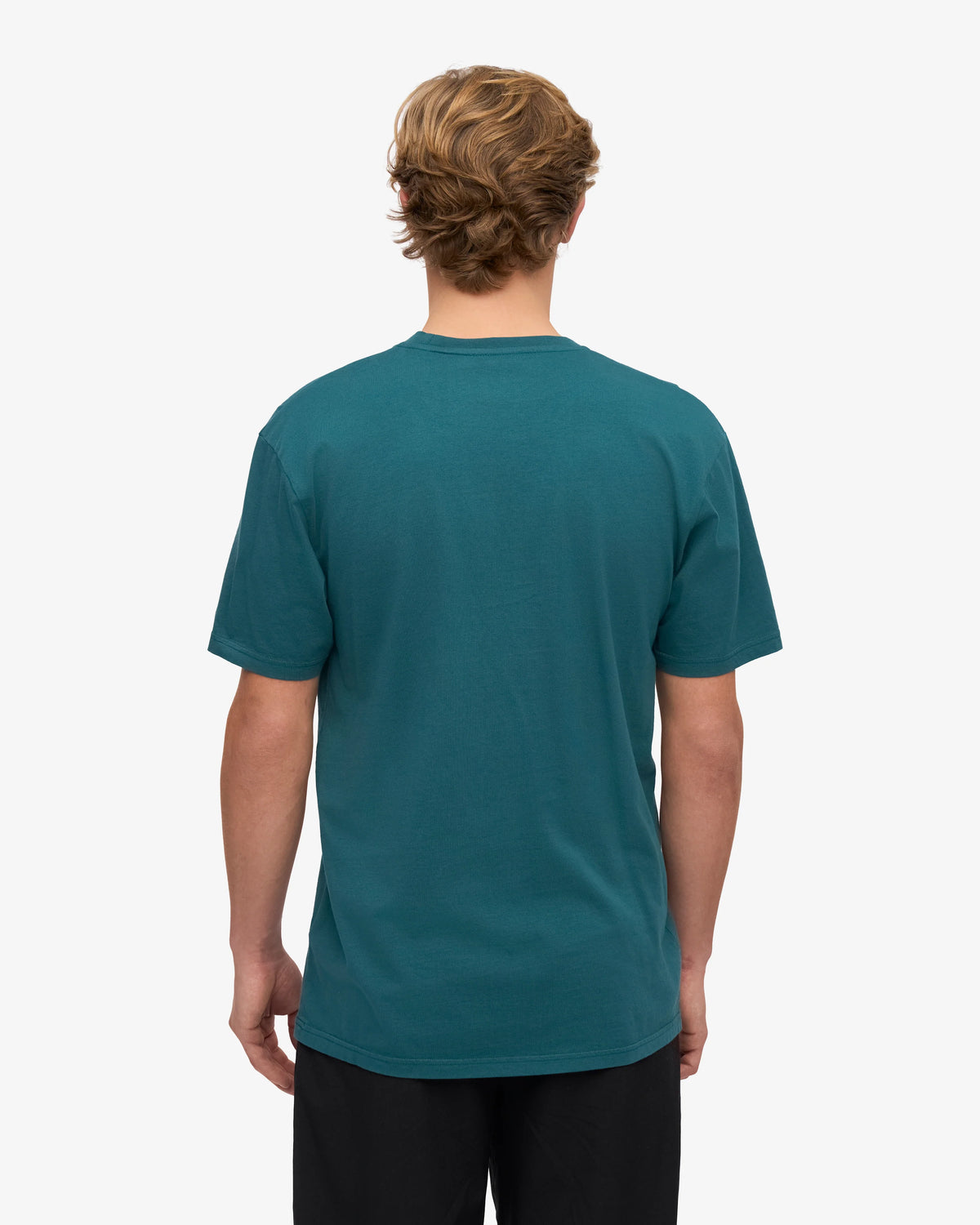 Colorful Standard Classic Organic Tee - Ocean Green