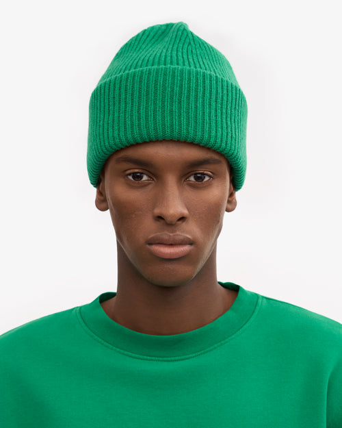 Colorful Standard 100% Recycled Merino Wool Beanie  - Kelly Green