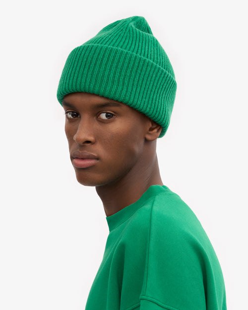 Colorful Standard 100% Recycled Merino Wool Beanie  - Kelly Green