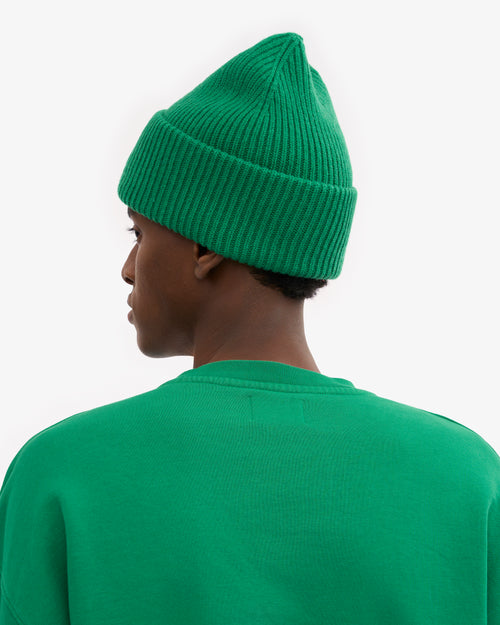 Colorful Standard 100% Recycled Merino Wool Beanie  - Kelly Green