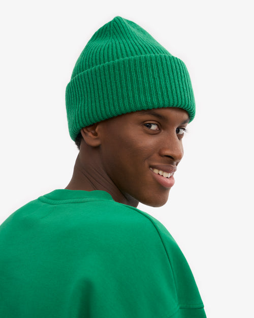Colorful Standard 100% Recycled Merino Wool Beanie  - Kelly Green